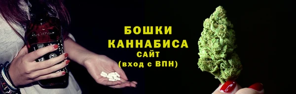 прущий лед Заводоуковск
