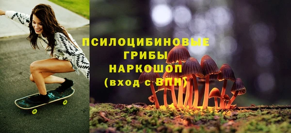 прущий лед Заводоуковск