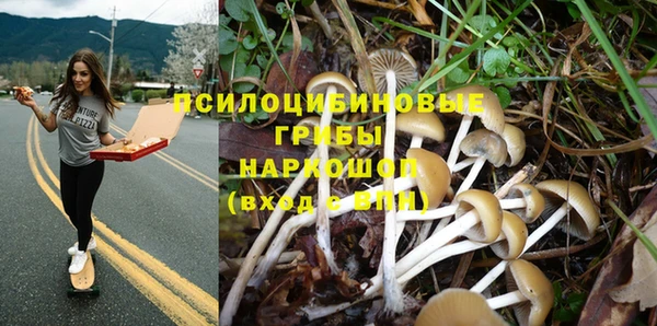 прущий лед Заводоуковск