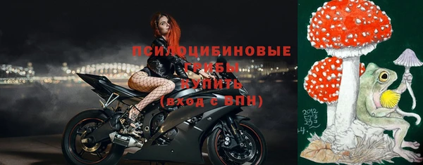 прущий лед Заводоуковск